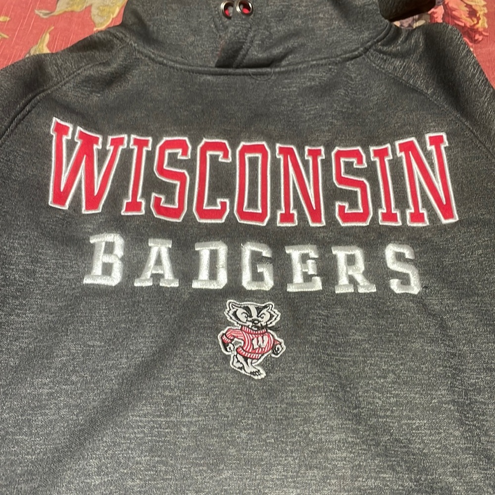 Gray hooded, Wisconsin Badgers sweatshirt